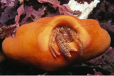 欢乐平台解谜游戏《块宝对对碰》免费试玩通道开启