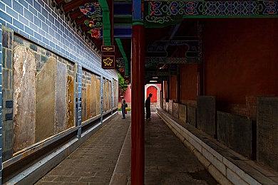 《使命召唤：战争地带》手游推迟至24年春季推出